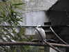 20211211132935-DSCN1154.JPG