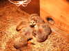 20211211133532-DSCN1167.JPG