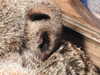 20211211133615-DSCN1169.JPG