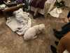 2021-12-25:Christmas at Parents
