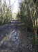 20220109123845-DSCN1215.JPG