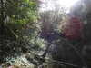 20220109123942-DSCN1216.JPG