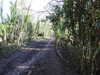 20220109123945-DSCN1217.JPG