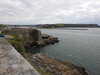 20220115132836-DSCN1338.JPG