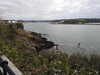 20220115133324-DSCN1341.JPG
