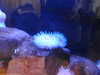 20220115140909-DSCN1389.JPG