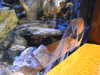 20220115141037-DSCN1393.JPG