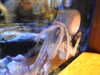 20220115141045-DSCN1394.JPG