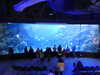 20220115141155-DSCN1395.JPG