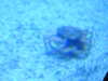 20220115141725-DSCN1411.JPG