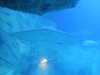 20220115143050-DSCN1423.JPG