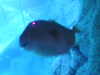 20220115143203-DSCN1428.JPG