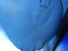 20220115143715-DSCN1435.JPG