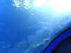 20220115143758-DSCN1436.JPG