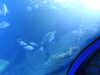 20220115143917-DSCN1441.JPG