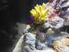 20220115144057-DSCN1445.JPG