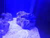 20220115144127-DSCN1448.JPG