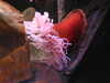 20220115144150-DSCN1451.JPG