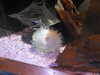 20220115144153-DSCN1452.JPG