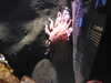 20220115144157-DSCN1453.JPG