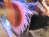 20220115144205-DSCN1454.JPG