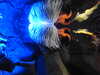 20220115144214-DSCN1455.JPG