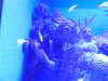 20220115144316-DSCN1460.JPG