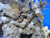 20220115144345-DSCN1462.JPG
