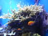 20220115144352-DSCN1463.JPG