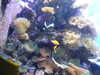 20220115144354-DSCN1464.JPG