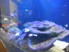 20220115144406-DSCN1466.JPG