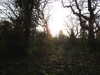 20220321163541-DSCN1530.JPG