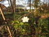 20220321170011-DSCN1543.JPG