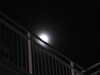 20220414211240-DSCN1550.JPG