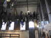 20220415165216-DSCN1569.JPG