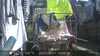 20220421145636-DSCF0663.JPG