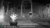 2022-04-22:Invicta Wildlife
