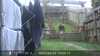 20220422100413-DSCF0668.JPG