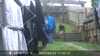 20220422113323-DSCF0764.JPG