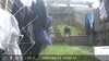 20220422140524-DSCF0023.JPG