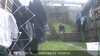 20220422143402-DSCF0089.JPG