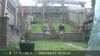 20220422182433-DSCF0335.JPG