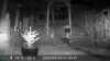 2022-04-23:Invicta Wildlife
