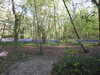2022-04-24:Bluebells KC
