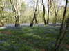 20220424111713-DSCN1641.JPG