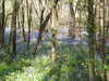 20220424111832-DSCN1643.JPG