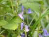 20220424112053-DSCN1645.JPG