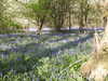 20220424112126-DSCN1648.JPG