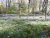 20220424112441-DSCN1652.JPG