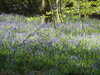 20220424112917-DSCN1653.JPG
